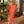 Load image into Gallery viewer, Back view of founder Jaclyn Schoknecht wearing Dessous Loungewear Bianca Caftan in small orange and red print sustainable Lyocell fabric