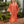 Load image into Gallery viewer, Founder Jaclyn Schoknecht wearing Dessous Loungewear Bianca Caftan in small orange and red print