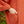Load image into Gallery viewer, Close up of sleeve, pocket and woman's hand in pocket of Dessous Loungewear Bianca caftan in orange and red print sustainable Lyocell fabric.