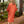 Load image into Gallery viewer, Back view of founder Jaclyn Schoknecht wearing Dessous Loungewear Bianca Caftan in small orange and red print sustainable Lyocell fabric
